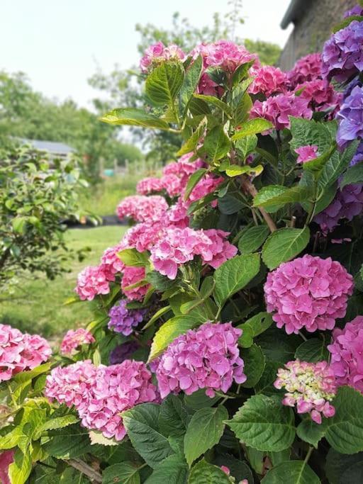 Gite De La Paludiere Assérac 외부 사진